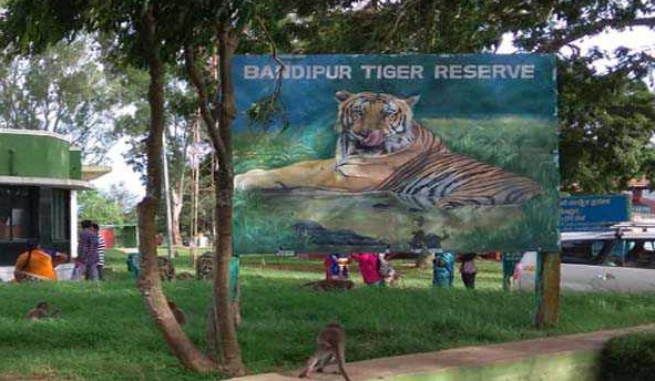 Bandipur National Park